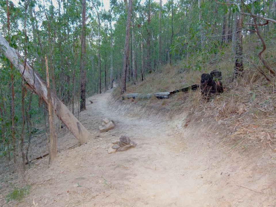 Looking down trail as we left it last week